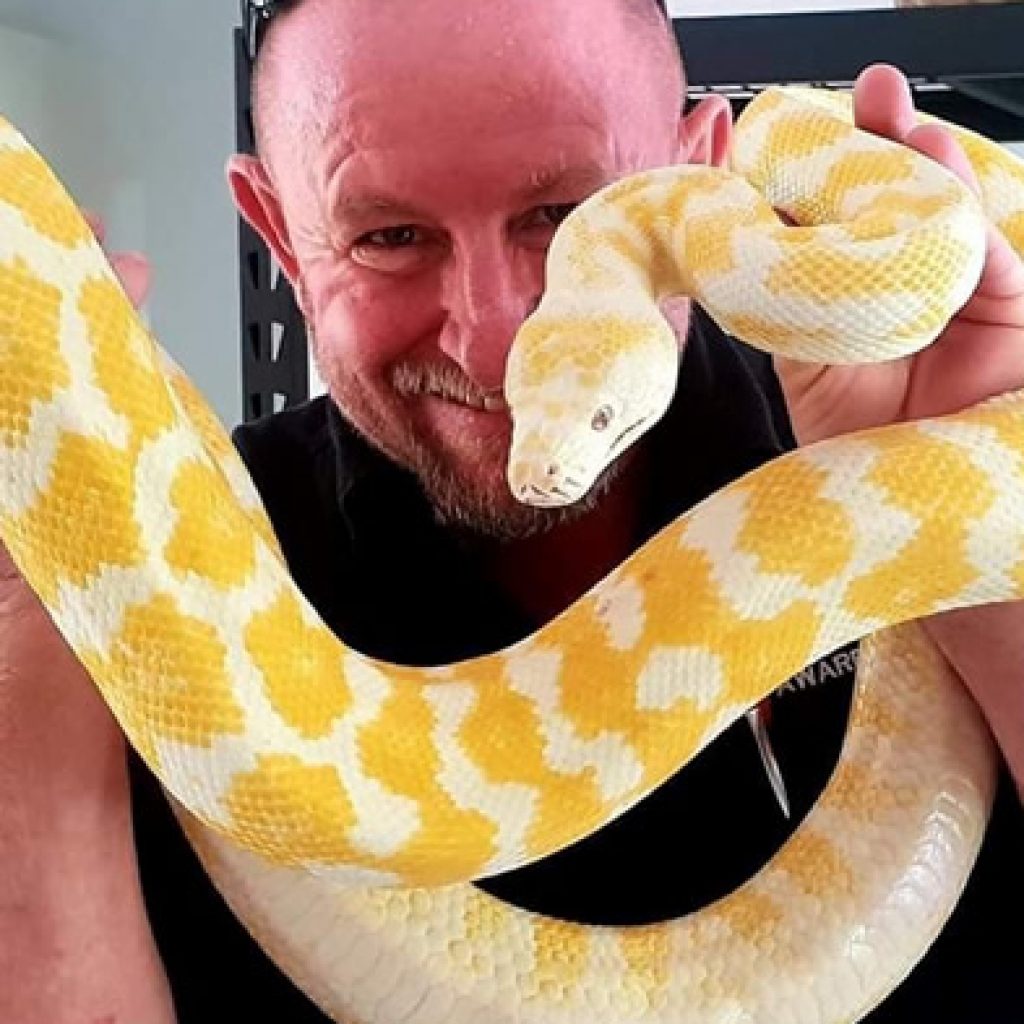 Harrison's Gold Coast and Brisbane Snake Catcher